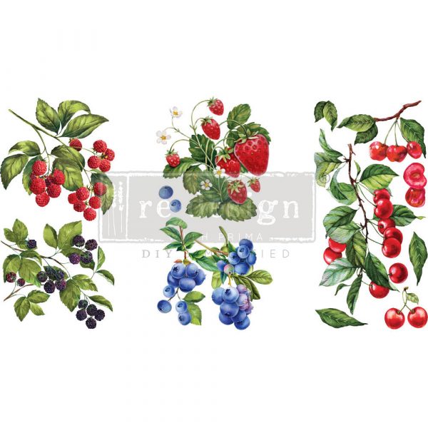 ReDesign Transfer -  Sweet Berries