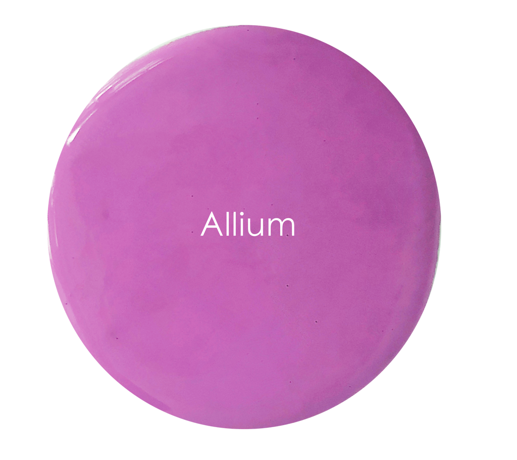 Allium - Velvet Luxe
