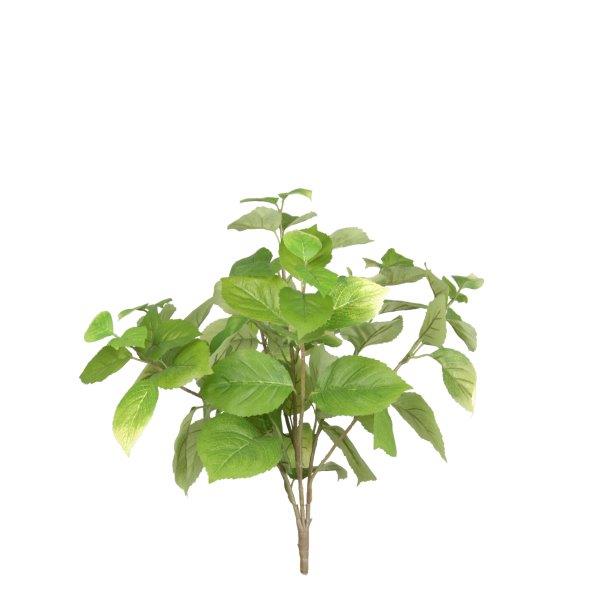 Hydrangea Leaf Bush - Green
