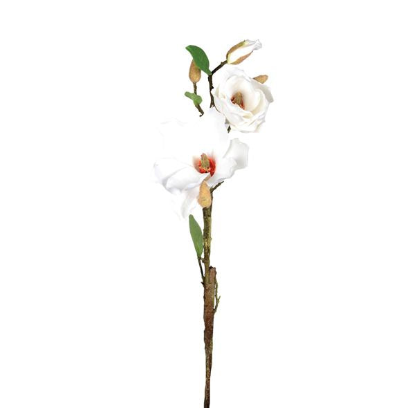 Majestic Magnolia - White