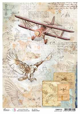 Rice Paper A4 - Study of Flight